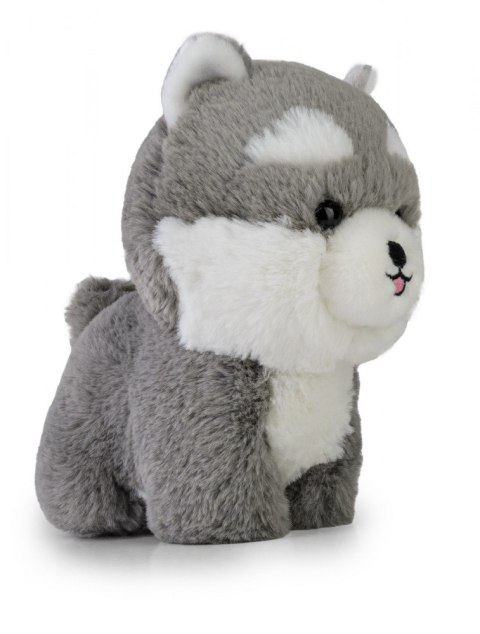 Maskotka TEDDY PETS Husky Daffi