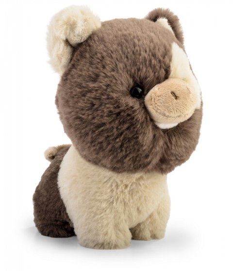 Maskotka TEDDY PETS Świnka brązowa Daffi