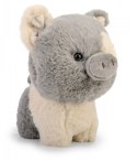 Maskotka TEDDY PETS Świnka szara Daffi