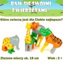Zestaw Malik Malblo Magnetic Zwierzęta z dżungli MALIK