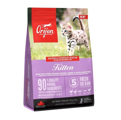 ORIJEN Kitten Sucha Karma dla kociąt 1,8kg