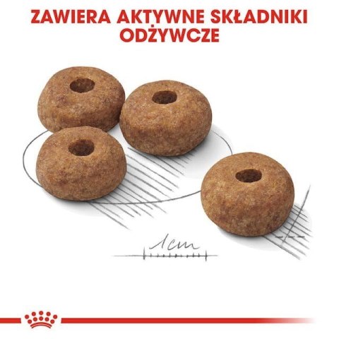 ROYAL CANIN CCN Medium Sterilised Adult - sucha karma dla psa - 12 kg (WYPRZEDAŻ)