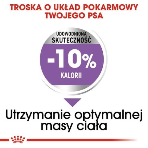 ROYAL CANIN CCN Medium Sterilised Adult - sucha karma dla psa - 12 kg (WYPRZEDAŻ)