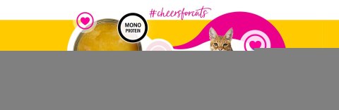 3Coty CHICKEN Cheers! Complementary feed cats 160g