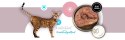 3Coty TURKEY + GOOSE for Adult cats 180g