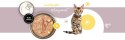 3Coty TURKEY + GOOSE for Kittens 180g