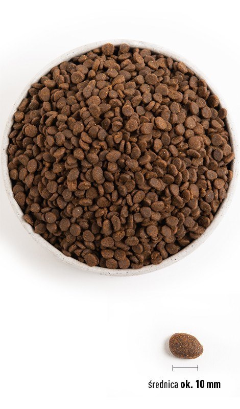 ORIJEN Cat Regional Red 1,8kg