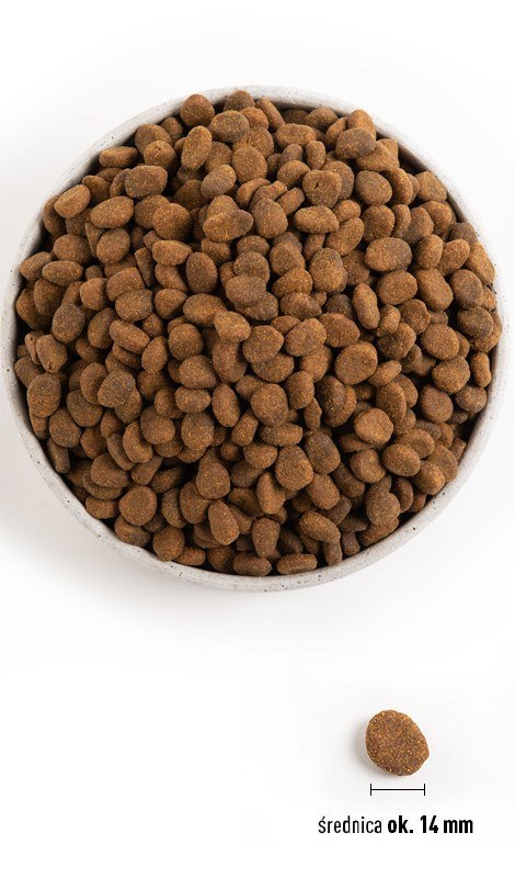 ORIJEN Regional Red 11,4kg