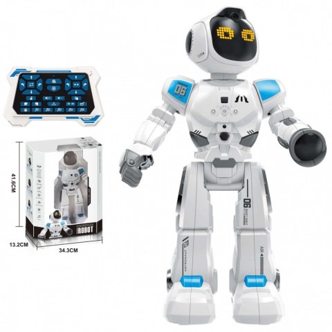 Robot R/C Madej