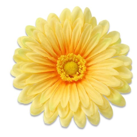 Gerbera żółta wyrobowa główka kwiatowa