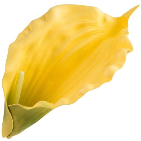 Kalla kalia calla piankowa żółta kalia główka wyrobowa calla