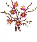 Klocki Botanicals 11510 Gałązki magnolii LEGO