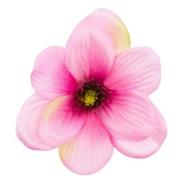 Magnolia główka kwiatowa wyrobowa