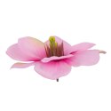 Magnolia główka kwiatowa wyrobowa