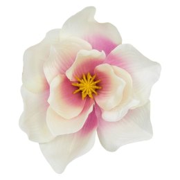 Magnolia główka wyrobowa kwiatowa