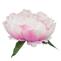 Peonia główka wyrobowa kwiat peoni piwonia