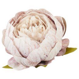 Peonia główka wyrobowa beż
