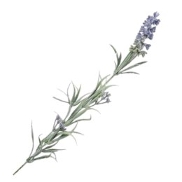 Pojedyncza gałązka lawendy sztuczna lawenda boho 45cm