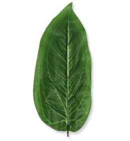 Sztuczny liść gumowy pojedynczy do kompozycji kwiatowych