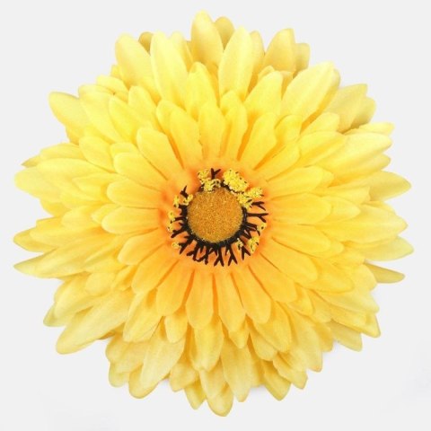 Gerbera żółta XXL
