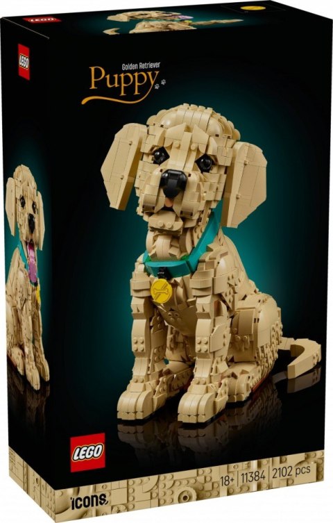 Klocki Icons 11384 Szczeniak golden retriever LEGO
