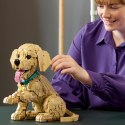Klocki Icons 11384 Szczeniak golden retriever LEGO