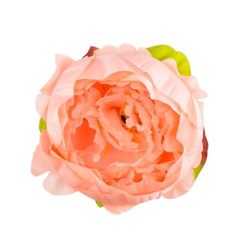 Peonia główka wyrobowa 9cm