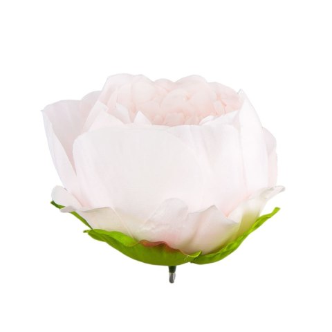 Peonia główka wyrobowa 9cm