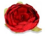 Peonia piwonia czerwona kulka