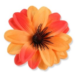 Dalia pomarańczowa ombre