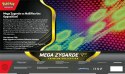 Karty Mega Zygarde ex Premium Collection Pokemon TCG
