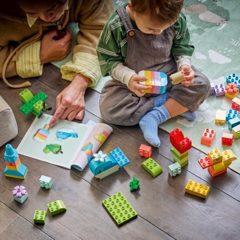 Klocki DUPLO 10479 Kreatywne pudełko pełne kolorów LEGO