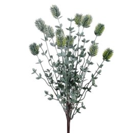 Oset z borówką bukiet 49cm