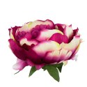 Peonia duża główka wyrobowa 12cm ombre
