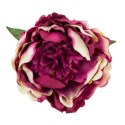 Peonia duża główka wyrobowa 12cm ombre