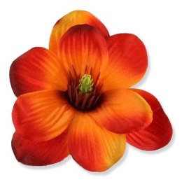 Magnolia ruda brązowa ombre główka wyrobowa