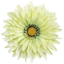 Gerber gerbera zielona XXL limonka