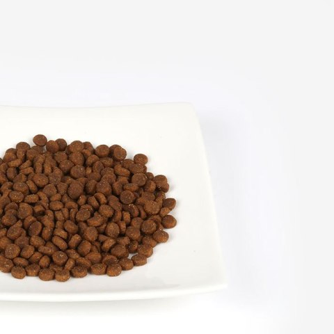 ANIMONDA Vom Feinsten Deluxe worek dla kociąt 250 g