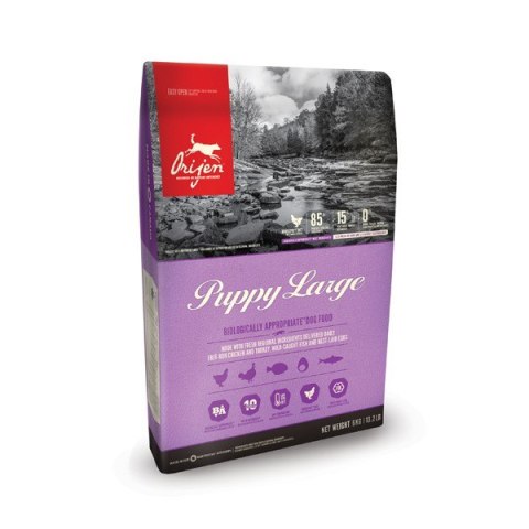 ORIJEN Puppy Large 6kg