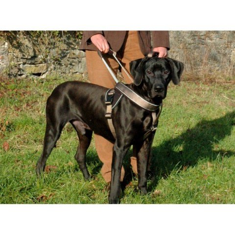 PATENTO PET Szelki Jockey Czarne XL