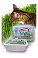 CERTECH Trawka 150 g