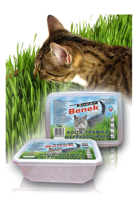 CERTECH Trawka 150 g