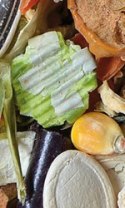 NATURAL VIT Przysmak gryzonia Ogród Warzywny 200g