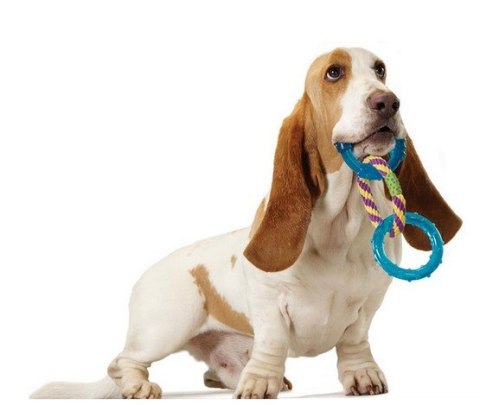 PETSTAGES Orka Dental Links Mini - Orka 3 okręgi [PS239]