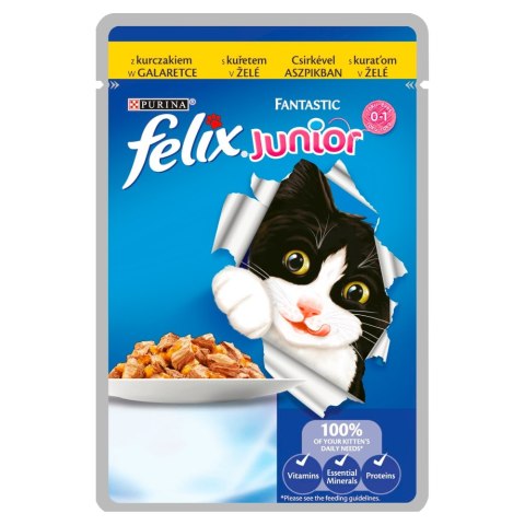 FELIX FANTASTIC Junior Kurczak 85g