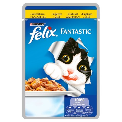 FELIX FANTASTIC Kurczak 85g