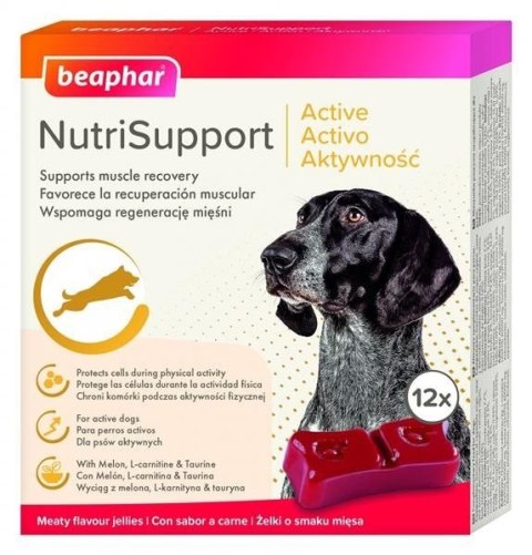 BEAPHAR NUTRISUPPORT AKTYWNOSC 12 szt. - żelki wspomagające stawy dla psów