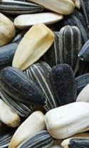 CERTECH Karma dla dzikich ptaków słonecznikowa 350g