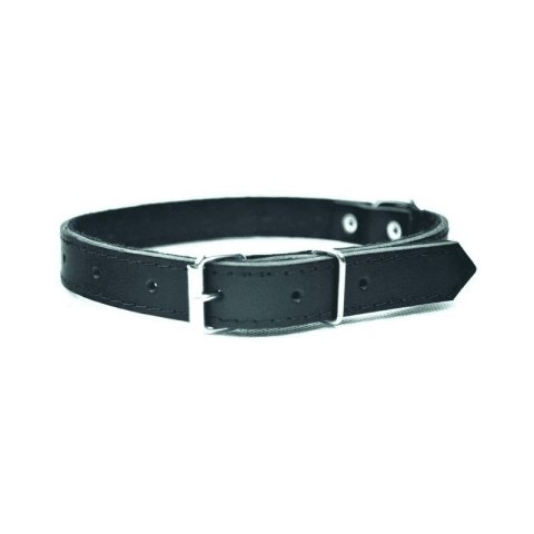CHABA Obroża skórzana - 12-35cm Czarna