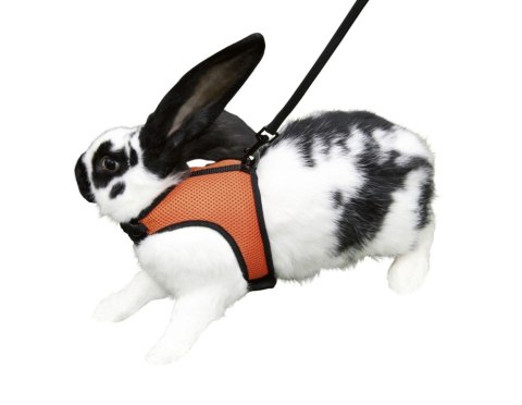 KERBL Szelki ze smyczą Sport, 33 -43 cm [82749]